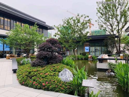 吃瓜娱乐中心官网入口,畅享海量娱乐资讯的便捷通道